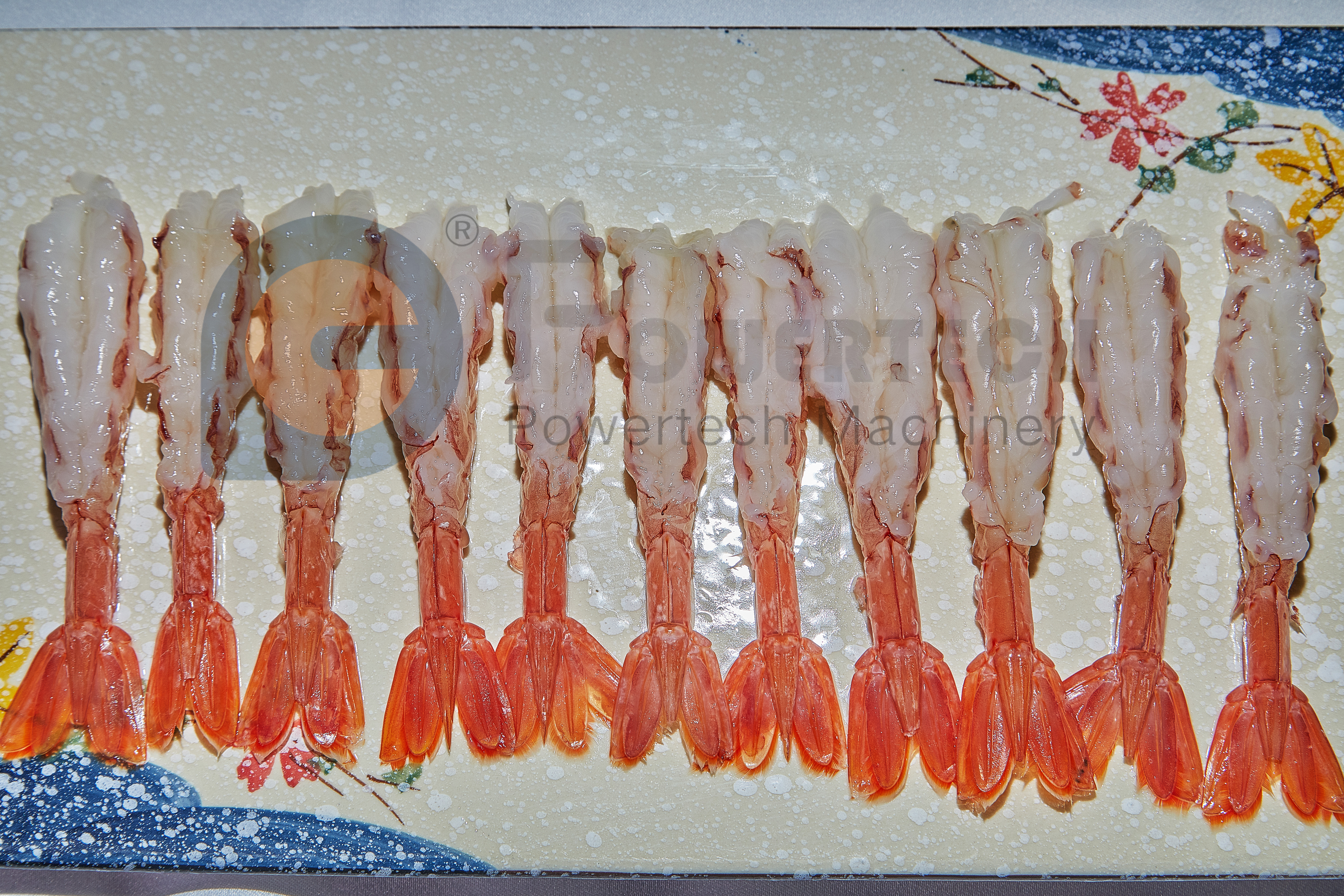 大容量阿根廷红虾餐厅虾去皮去核机